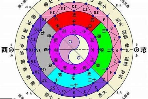 硨磲 五行|【硨磲 五行】硨磲之五行奧秘：補五行、助運勢，必備珍寶